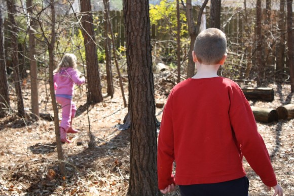 Enjoy a homeschool nature study with a winter outdoor hour challenge to soak up some sunshine and spot some winter weeds and seeds!  