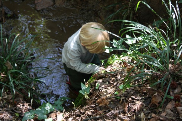 Playing the creek at Mama Ann's - Sometimes we just need to stop and dwell on the many benefits of homeschooling. Here is a list to get you started. A list created during a regular sort of week homeschooling multiple ages.