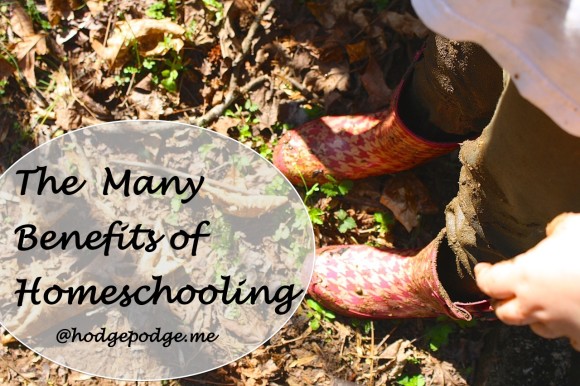 Sometimes we just need to stop and dwell on the many benefits of homeschooling. Here is a list to get you started. A list created during a regular sort of week homeschooling multiple ages.