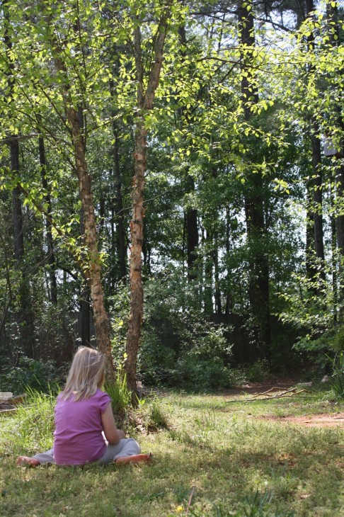 Enjoy these ideas for a year long tree nature study for your homeschool. These are fun and easy ways to learn with the whole family in your very own backyard.