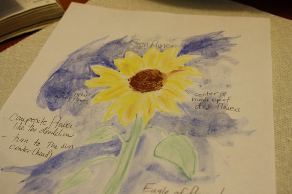 Enjoy these ideas for a fun summer sunflowers homeschool study. Plant sunflowers, journal their growth and make something with sunflower seeds too!