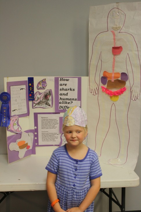 10 science fair project ideas for multiple ages. Includes ideas for family science projects for solar system, genetics and some fun hands on projects.