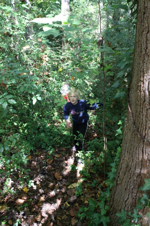 Enjoy this example of a chipmunk and squirrels homeschool nature study you can enjoy right in your own backyard! 