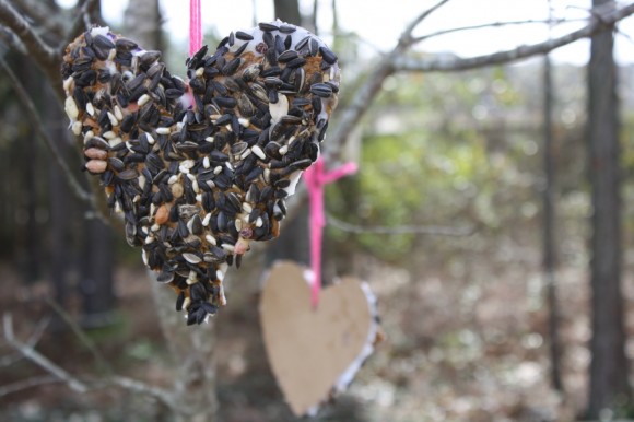 A simple, heart-shaped bird feeder. You can make it allergy-friendly. Easy steps and fun to make with your children in honor of the Great Backyard Bird Count!