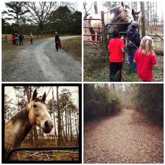 We've been contemplating the Ws of winter nature study. These bits of nature study we enjoyed here and there over the last two weeks. Some spontaneous, some purposeful.