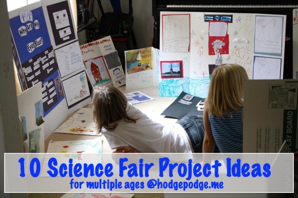 10 Science Fair Project Ideas at Hodgepodge
