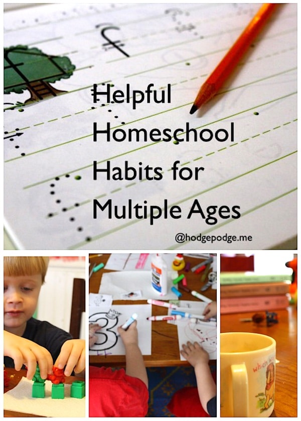 With babies, toddlers, stacks of school books, hungry mouths and now towering teens, these helpful homeschool habits are the basics for seeing results.