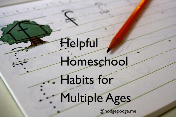 With babies, toddlers, stacks of school books, hungry mouths and now towering teens, these helpful homeschool habits are the basics for seeing results.