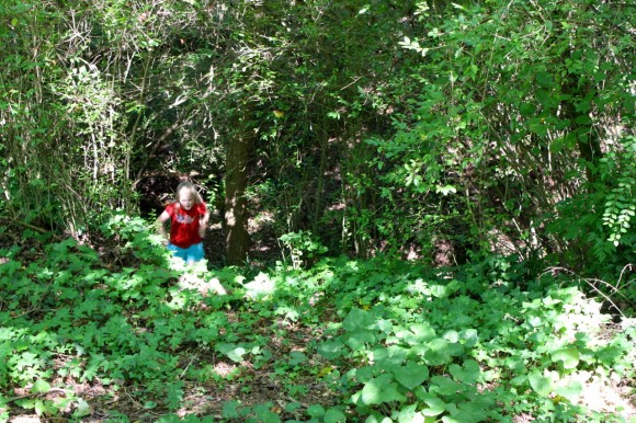 Here are 5 ways homeschool families can enjoy simple summer nature study. Make sweet memories together watching for the joys of the outdoors.