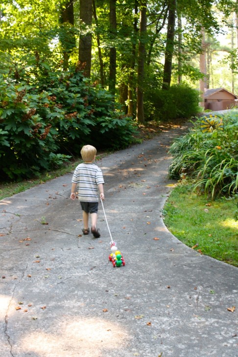 Here are 5 ways homeschool families can enjoy simple summer nature study. Make sweet memories together watching for the joys of the outdoors.