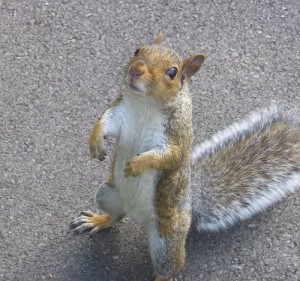 563496_500669889959065_470695032_n