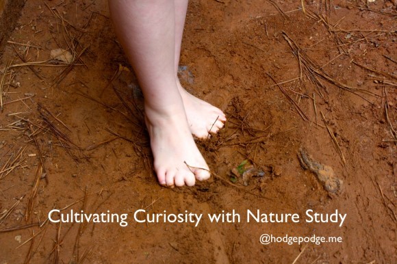 Cultivating Curiosity with Nature Study
