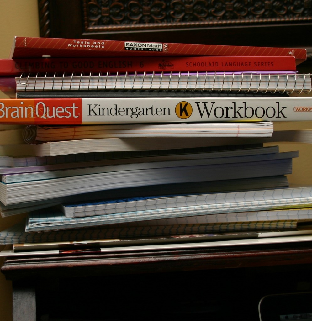Stack of homeschool books. I am sharing a daily schedule for homeschooling boys. This 'A Day in the Life' style will give you our unique homeschool perspective with all boys. 
