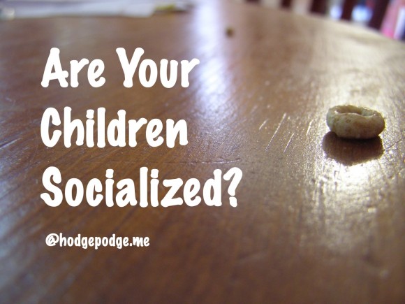 Are your children socialized?