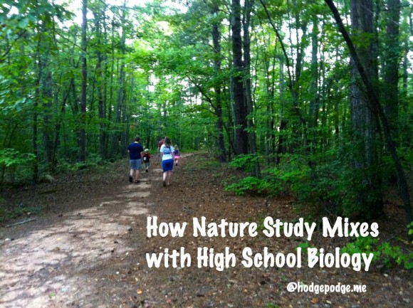 Discover just how much nature study and high school biology go together in your homeschool! Get outdoors and add beautiful experiences to your learning!