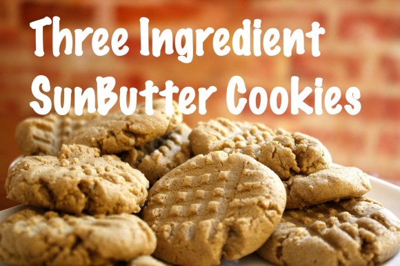 Three Ingredient SunButter Cookies Recipe