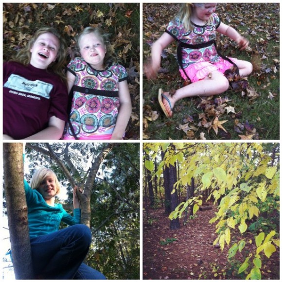 Fall Leaf fun