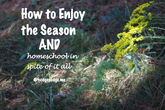 How to Enjoy the Season and Homeschool at Hodgepodge How to enjoy the season and homeschool? Yes, this fall there are field trips to make. But more importantly there are memories to build.