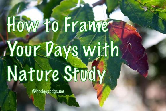 Here are some simple and practical tips to frame your homeschool days with nature study. The results are so rewarding for such a little time investment!