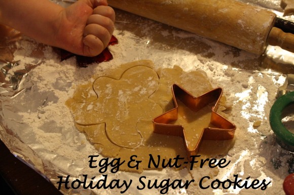 Tricia's Egg and Nut-Free Holiday Sugar Cookies