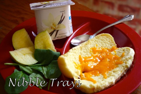 Tricia's Nibble Trays Recipe at Food Allergies on a Budget