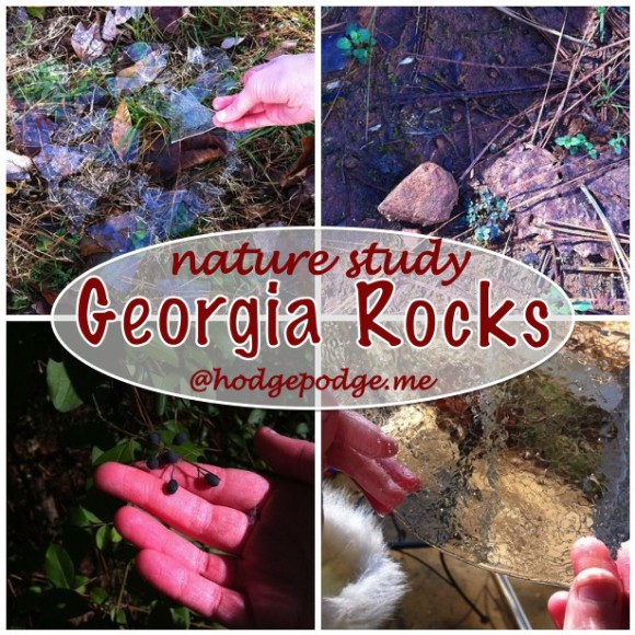 Georgia Rocks at Hodgepodge