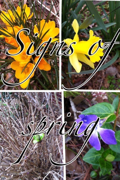 signs of spring