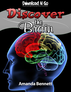 DiscoverTheBrainCoverSM