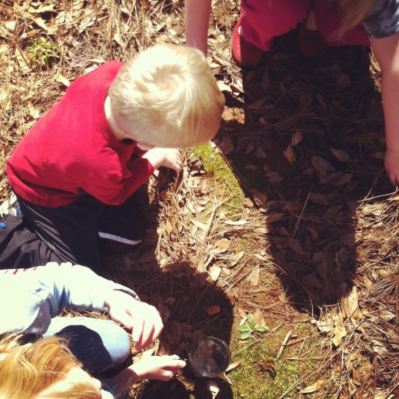 nature study with multiple ages