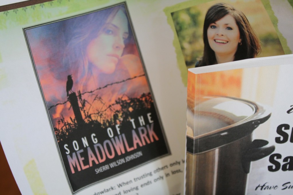 Song of the Meadowlark by Sherri Wilson Johnson