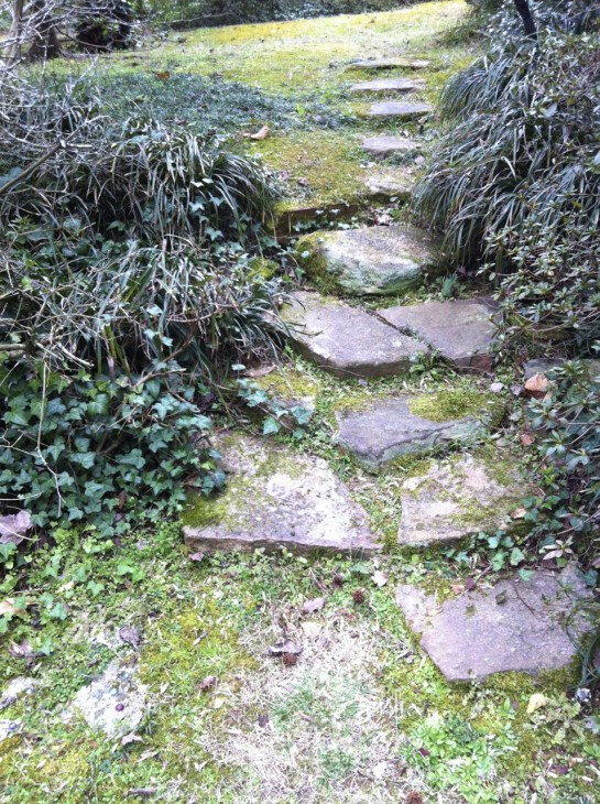 paths of moss