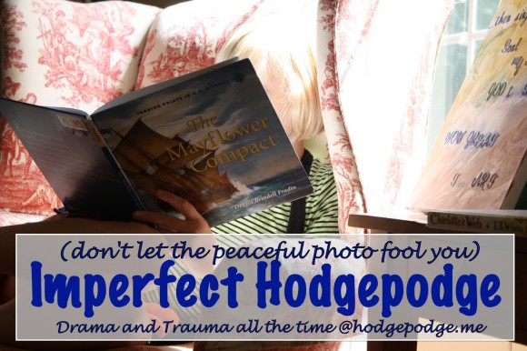 Imperfect Homeschool- Drama and Trauma All The Time