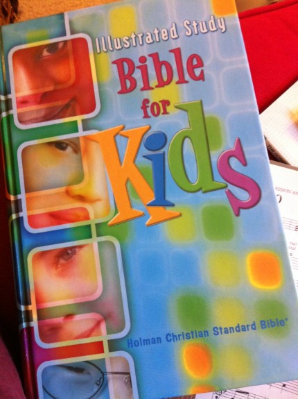 Illustrated Study Bible for Kids