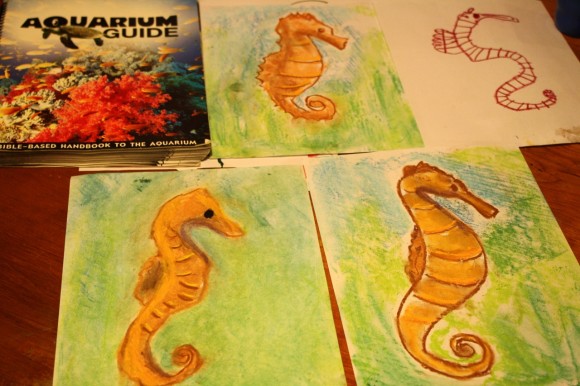 seahorse chalk pastel art completed pictures