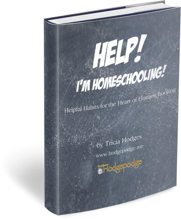 Help! I'm Homeschooling ebook by Tricia Hodges www.southernhodgepodge.com
