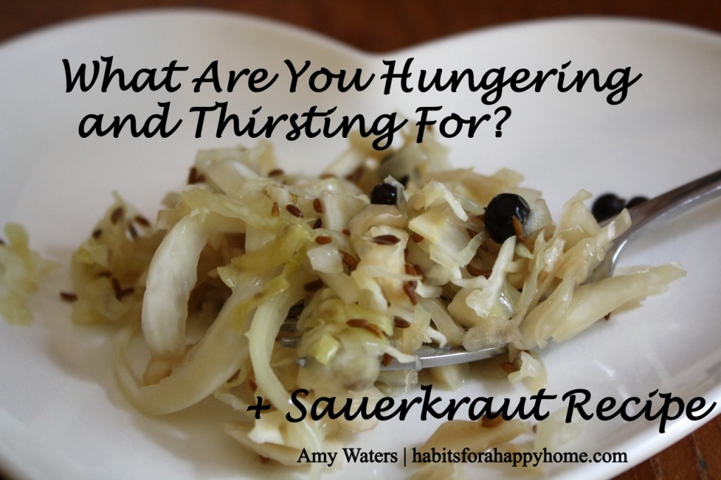 What Are You Hungering and Thirsting For? (+ Sauerkraut recipe) www.habitsforahappyhome.com