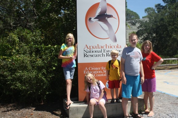 Apalachicola Estuary field trip