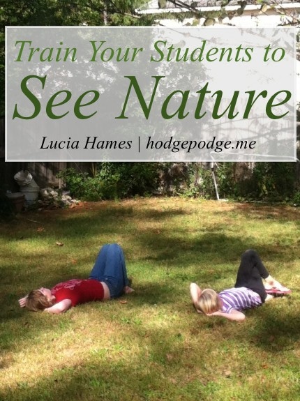 Train Your Student to See Nature