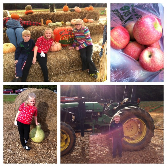 Local pumpkin patch