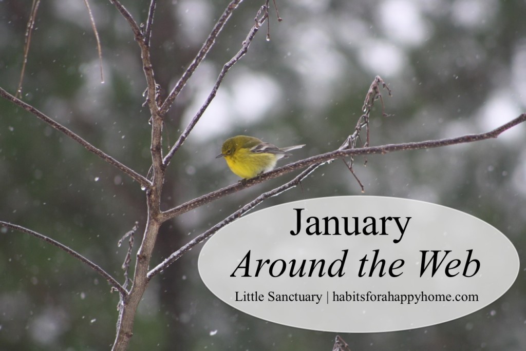 January 2014 - Around the Web www.habitsforahappyhome.com