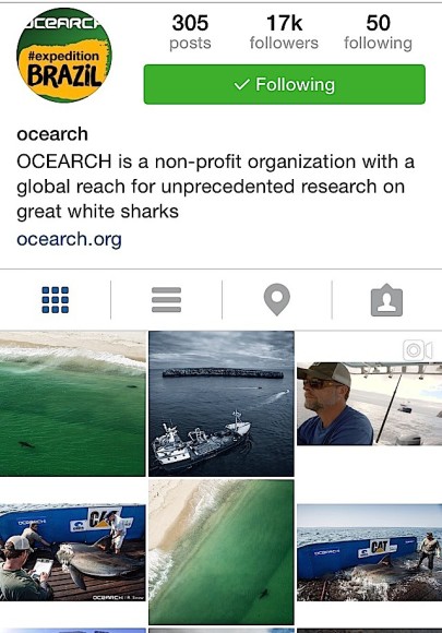 @ocearch