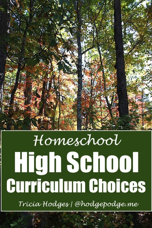 High School Curriculum Choices at Hodgepodge