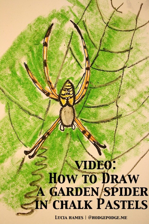How to Draw a Garden Spider With Chalk Pastels