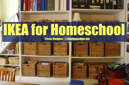 IKEA for Homeschool - organization galore!