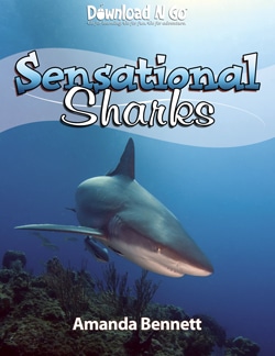 SensationalSharksCoverSM