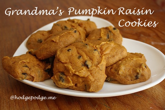 Always a fall favorite are Grandma's Pumpkin Raisin Cookies Recipe. Enjoy this classic recipe for an afternoon treat or for your fall dessert.