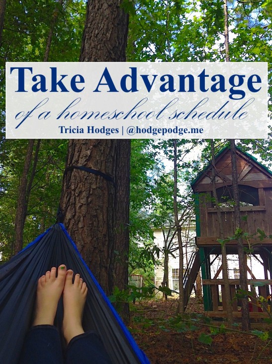 Taking Advantage of a Homeschool Schedule at Hodgepodge