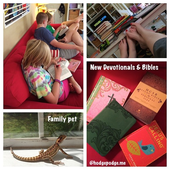 homeschool freedoms at Hodgepodge