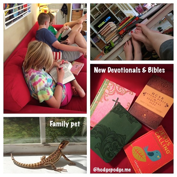 homeschool freedoms at Hodgepodge - Even rule followers can take advantage of a homeschool schedule! Balance assignments with the opportunities the Lord puts in your path! 