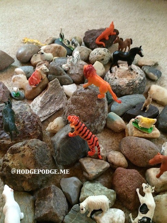 toy zoo for Land Animals study at Hodgepodge